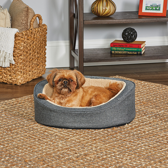 Midwest deluxe bolster pet bed for dogs & clearance cats