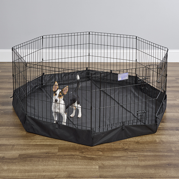 Exercise pen clearance attached to crate