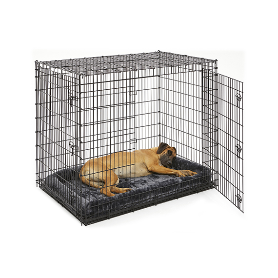 can a german shepherd fit in a large crate